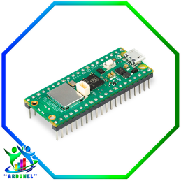 RASPBERRY PI PICO W